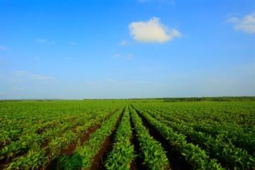 米兰app:我国食物_第3页_食物资讯_同伴网